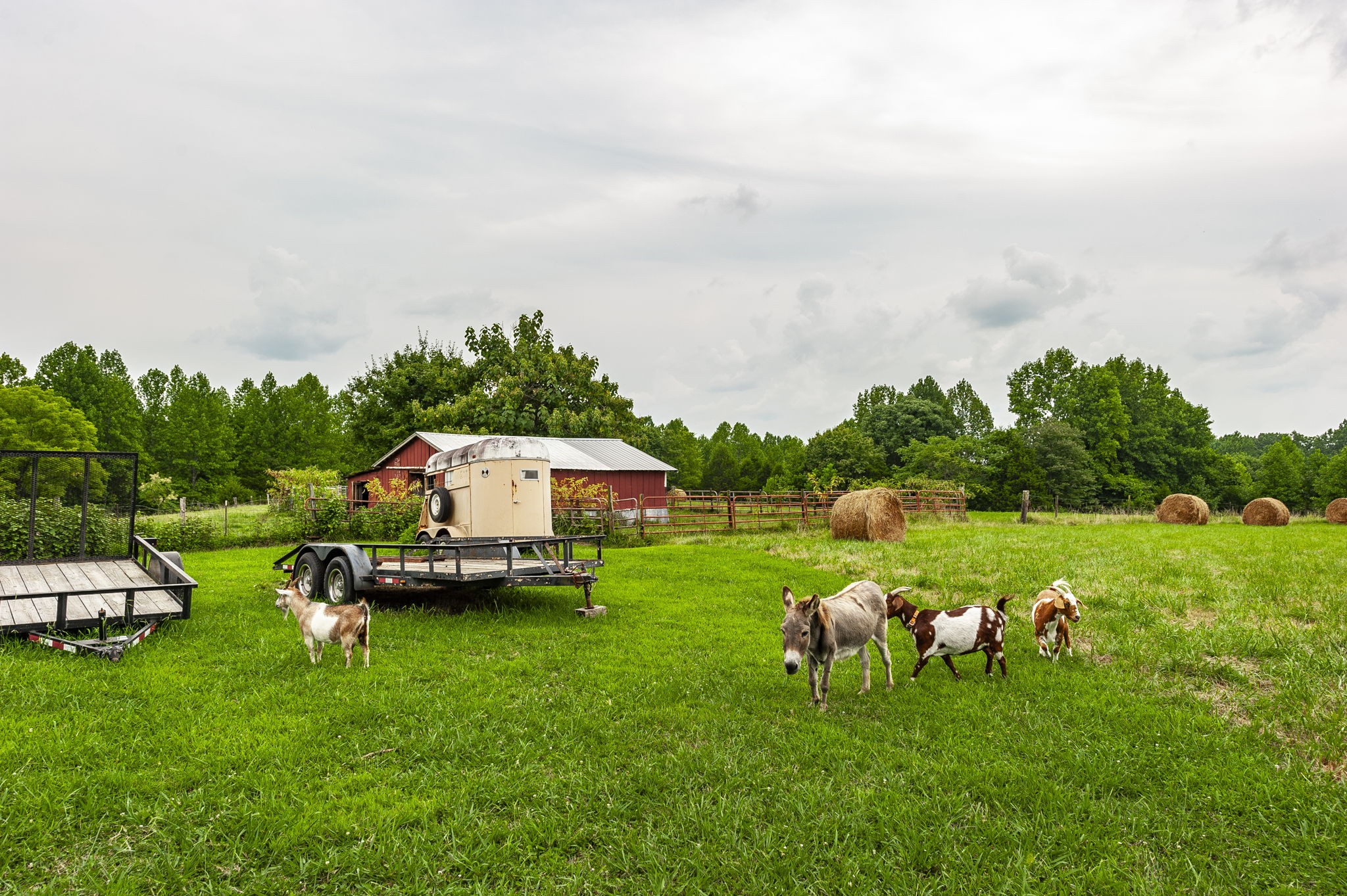 150 Mt Vernon Church Road Bethpage, TN 37022 - Photo 40 of 65 Gallery Image 40