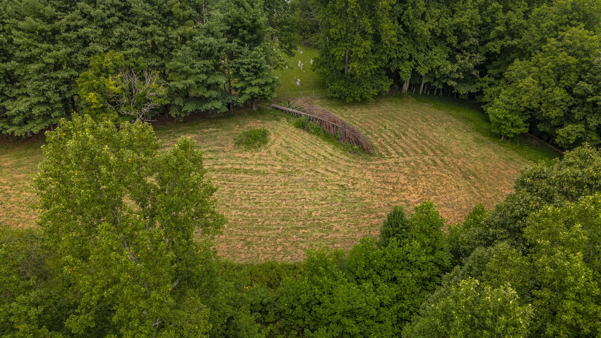 150 Mt Vernon Church Road Bethpage, TN 37022 - Photo 53 of 65 Gallery Image 53