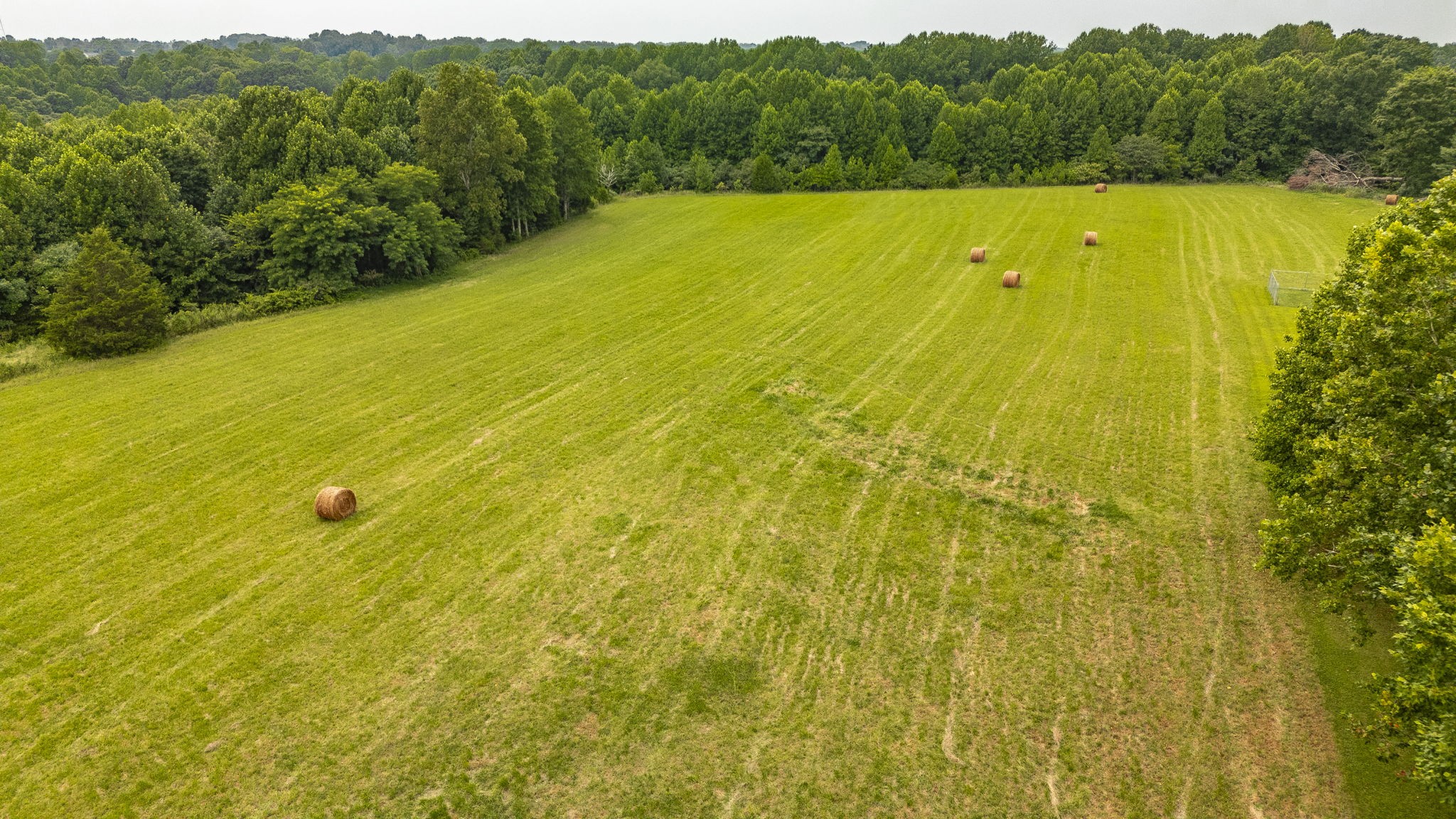 150 Mt Vernon Church Road Bethpage, TN 37022 - Photo 55 of 65 Gallery Image 55