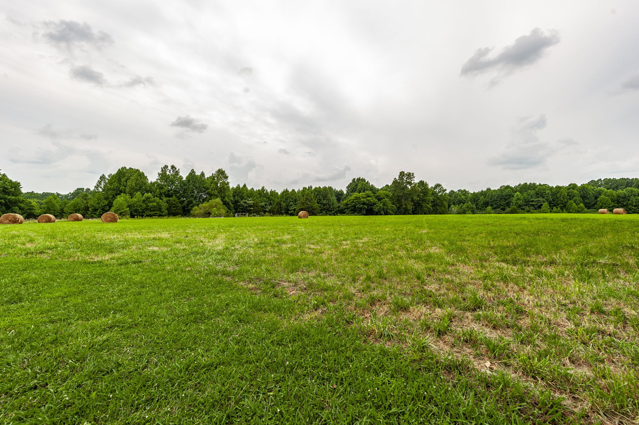 150 Mt Vernon Church Road Bethpage, TN 37022 - Photo 64 of 65 Gallery Image 64