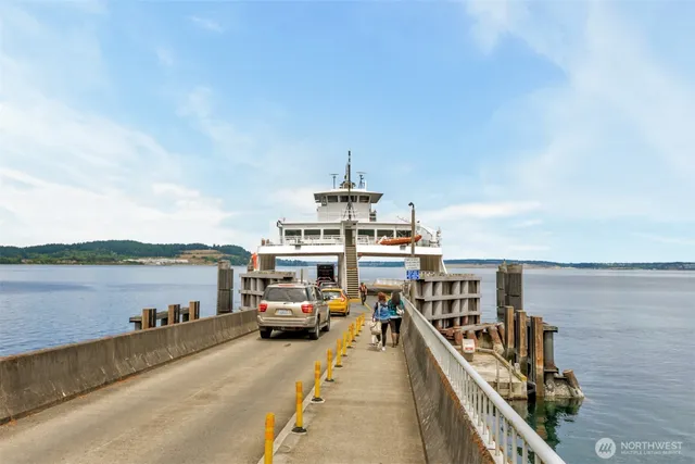 a view of a trees in a yard