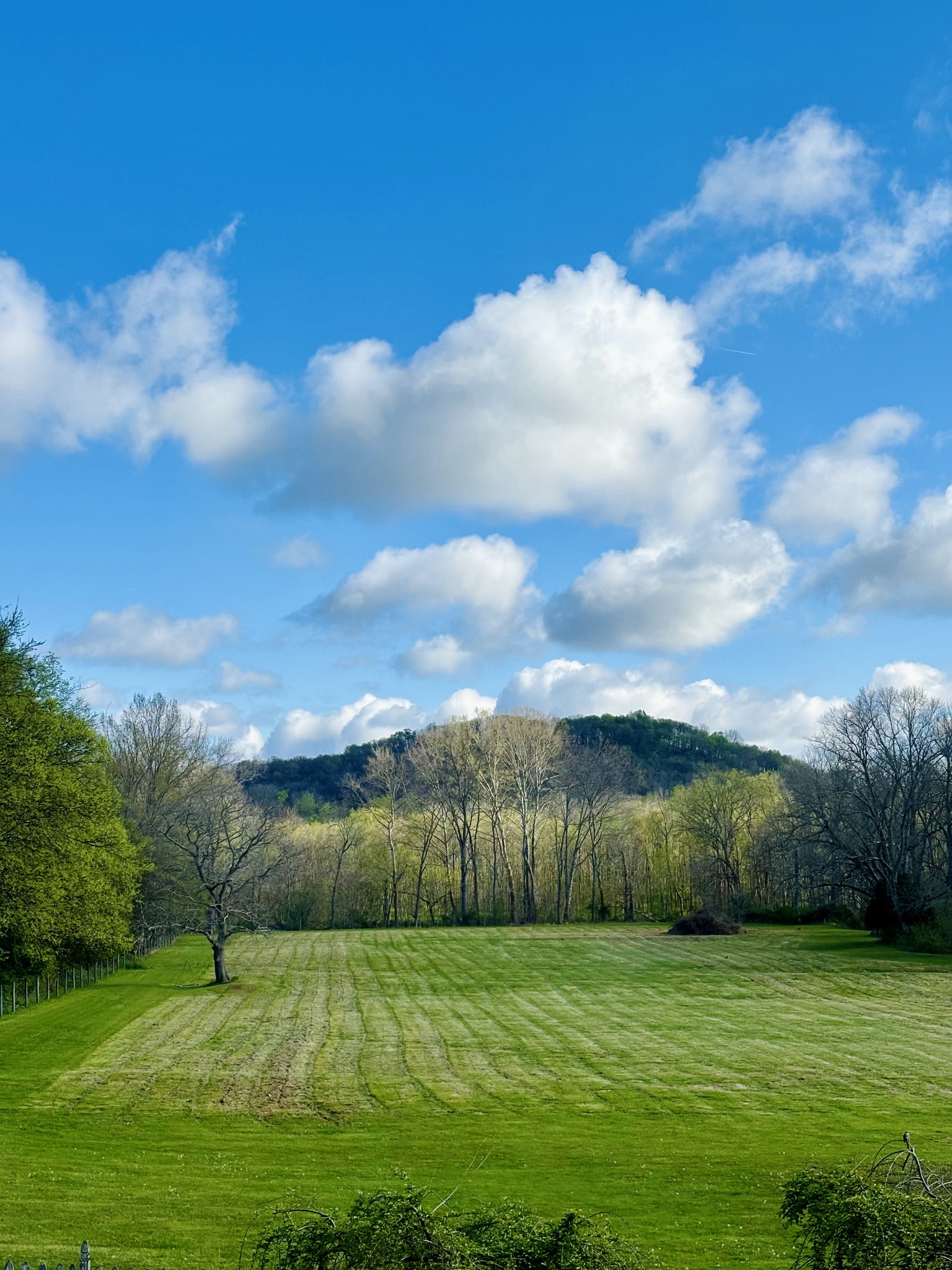3968 Bigbyville Road Columbia, TN 38401 - Photo 27 of 52 Gallery Image 27