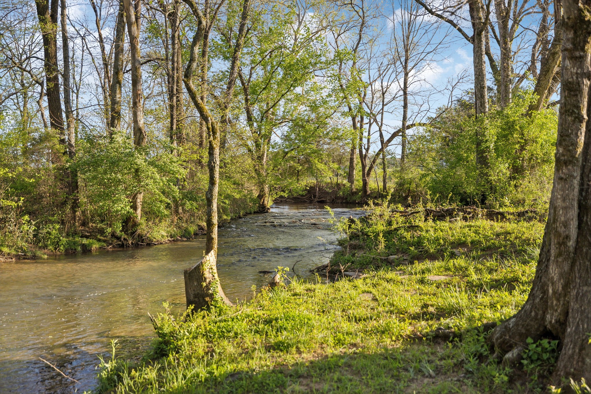 3968 Bigbyville Road Columbia, TN 38401 - Photo 28 of 52 Gallery Image 28