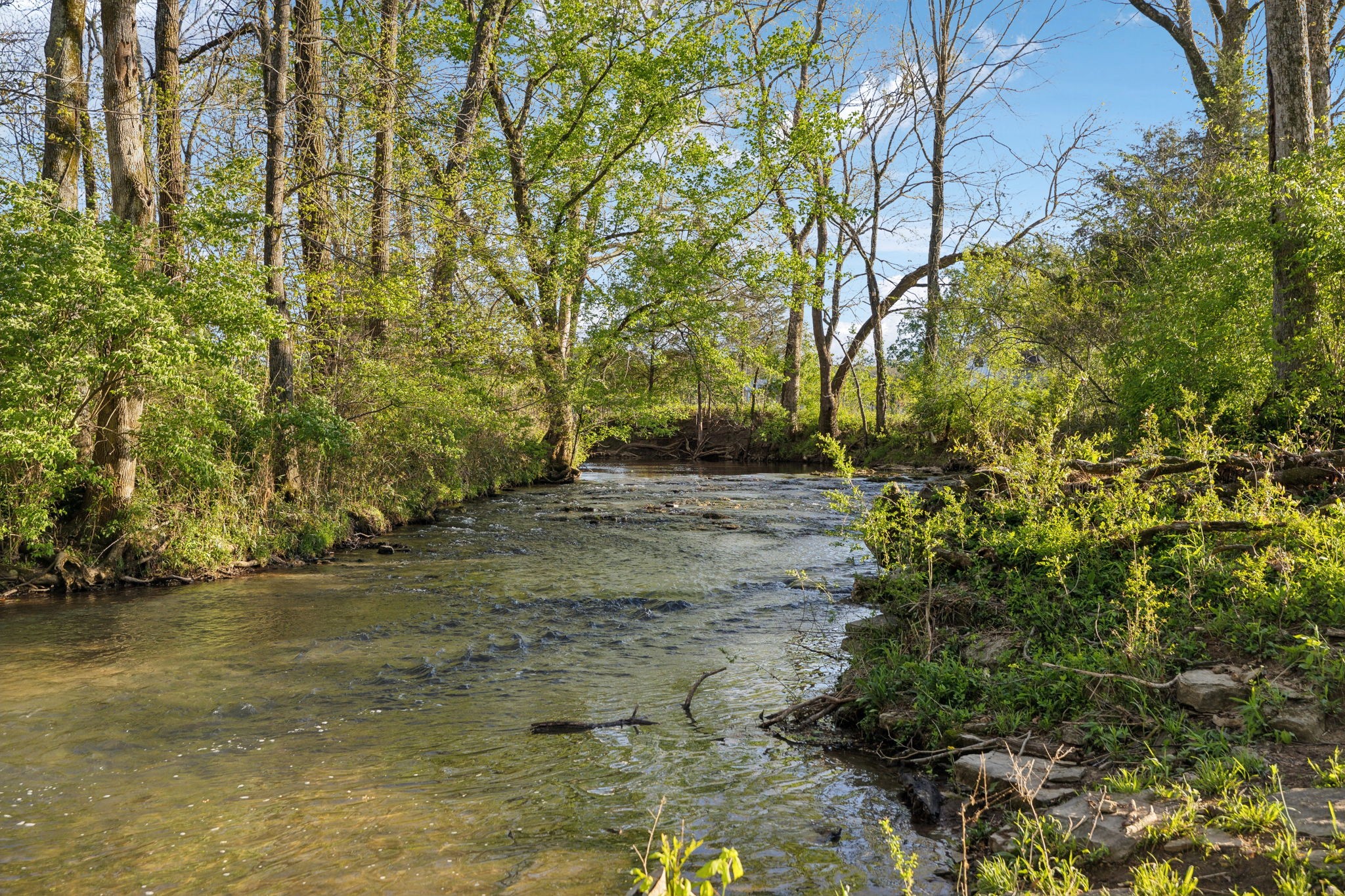 3968 Bigbyville Road Columbia, TN 38401 - Photo 29 of 52 Gallery Image 29