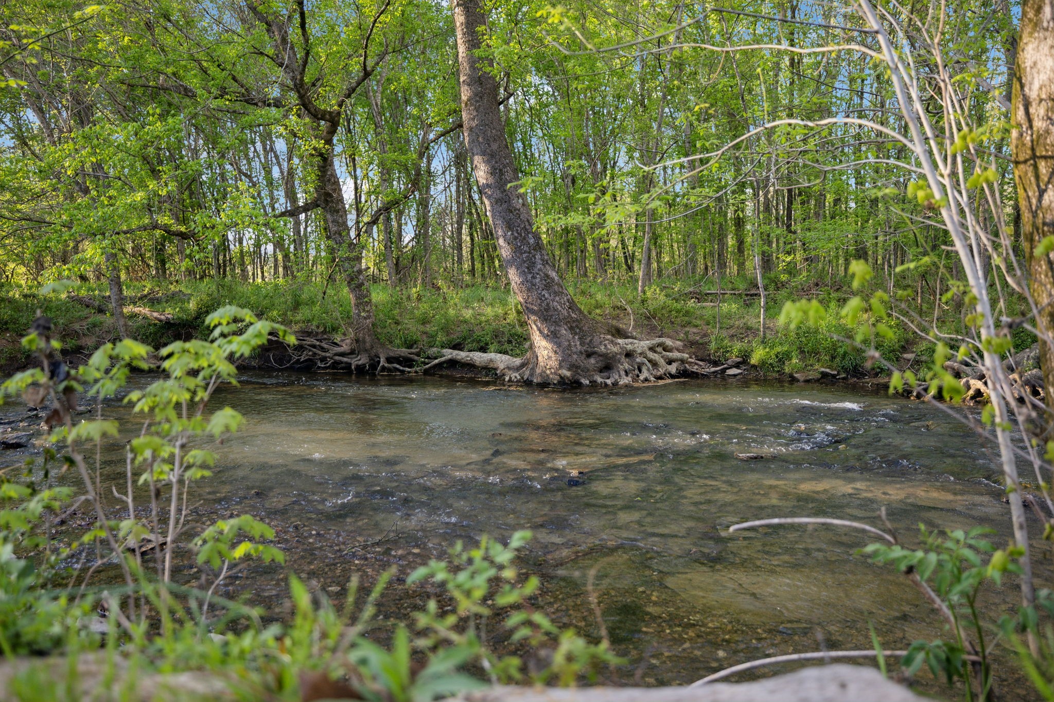 3968 Bigbyville Road Columbia, TN 38401 - Photo 35 of 52 Gallery Image 35