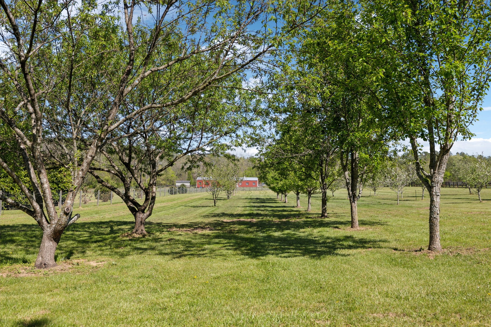 3968 Bigbyville Road Columbia, TN 38401 - Photo 40 of 52 Gallery Image 40