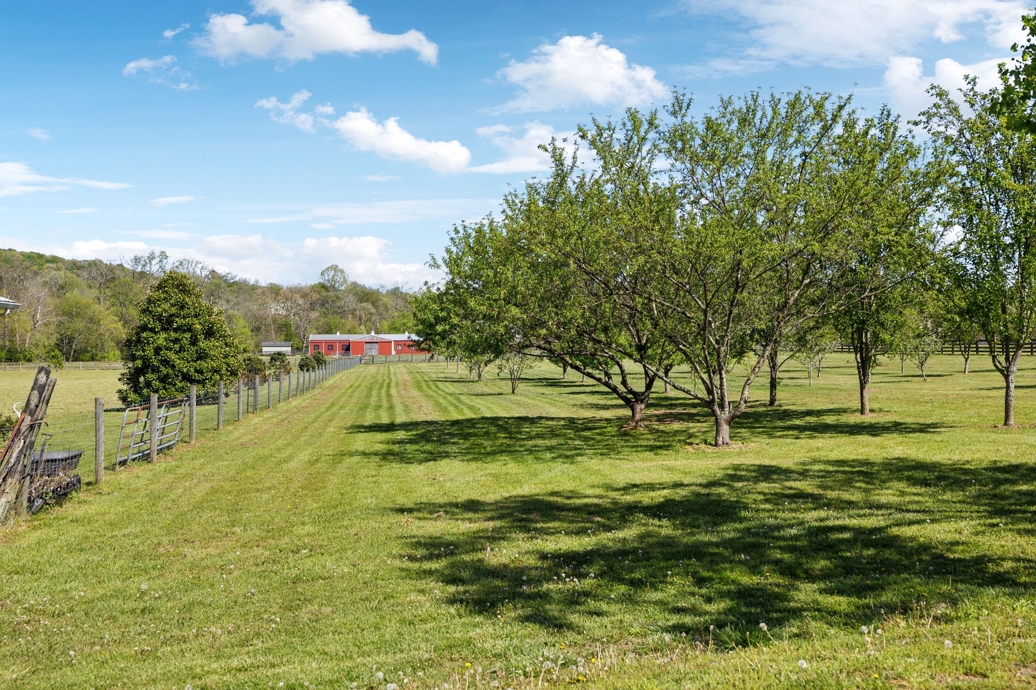 3968 Bigbyville Road Columbia, TN 38401 - Photo 42 of 52 Gallery Image 42