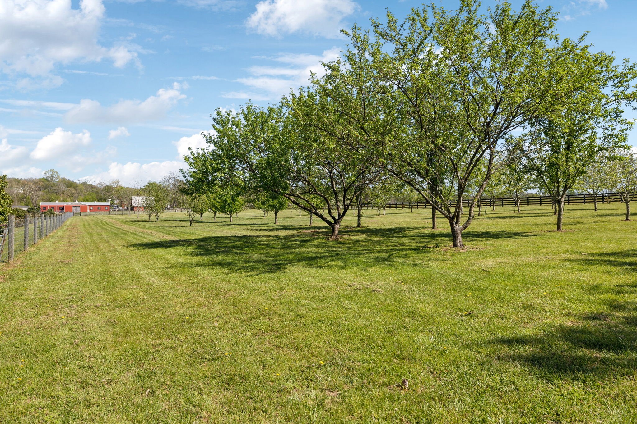 3968 Bigbyville Road Columbia, TN 38401 - Photo 43 of 52 Gallery Image 43
