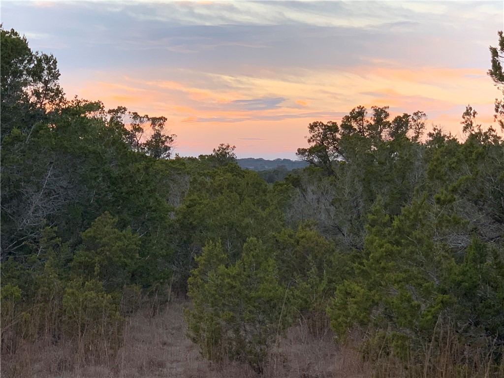 100 Rimrock Road Wimberley, TX 78676 - Photo 1 of 1 a view of a green field