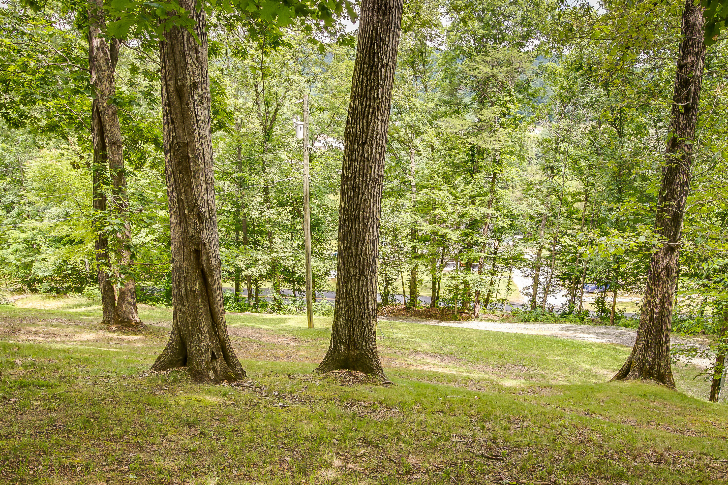 1536 Masengill Road Bristol, TN 37620 - Photo 2 of 27 3