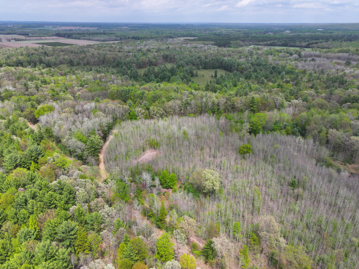 6.62 West Jefferson Road Pentwater, MI 49449 - Photo 4 of 21 DJI_20260512151434_0556_D