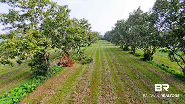 0 West Underwood Road West Summerdale, AL 36580 - Photo 27 of 27 Gallery Image 27