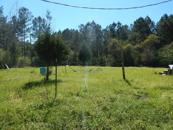 12 Marvin Gibbs Road Lawrence, MS 39336 - Photo 1 of 1 Photo 1