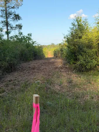 $80,000 | 48 Highway 48 East, Sandy Hook, MS 39478