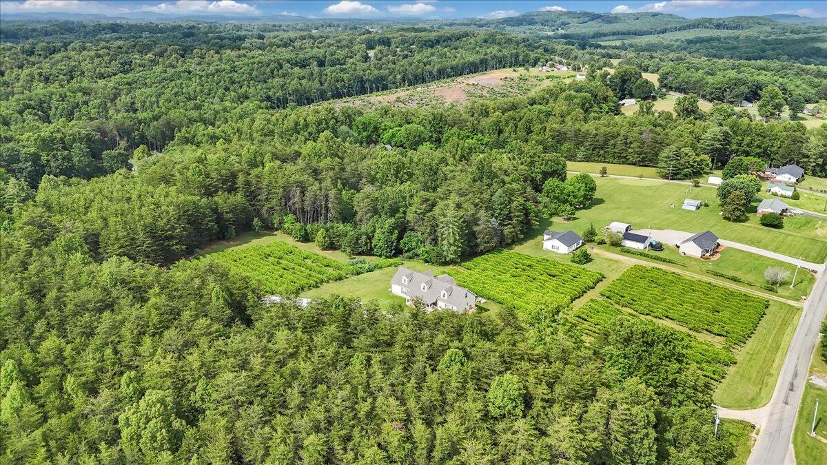 60 Tara Drive Ridgeway, VA 24148 - Photo 82 of 93 76-DJI_20250605163039_0047_D_1