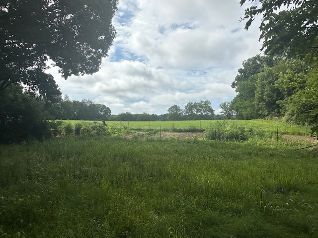 20881 West Angle Road Wilmington, IL 60481 - Photo 2 of 15 a view of a lush green space