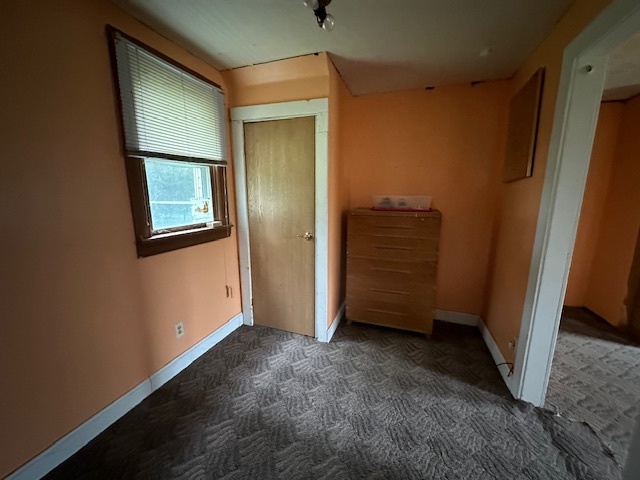 20881 West Angle Road Wilmington, IL 60481 - Photo 8 of 15 an empty room with closet and wooden floor