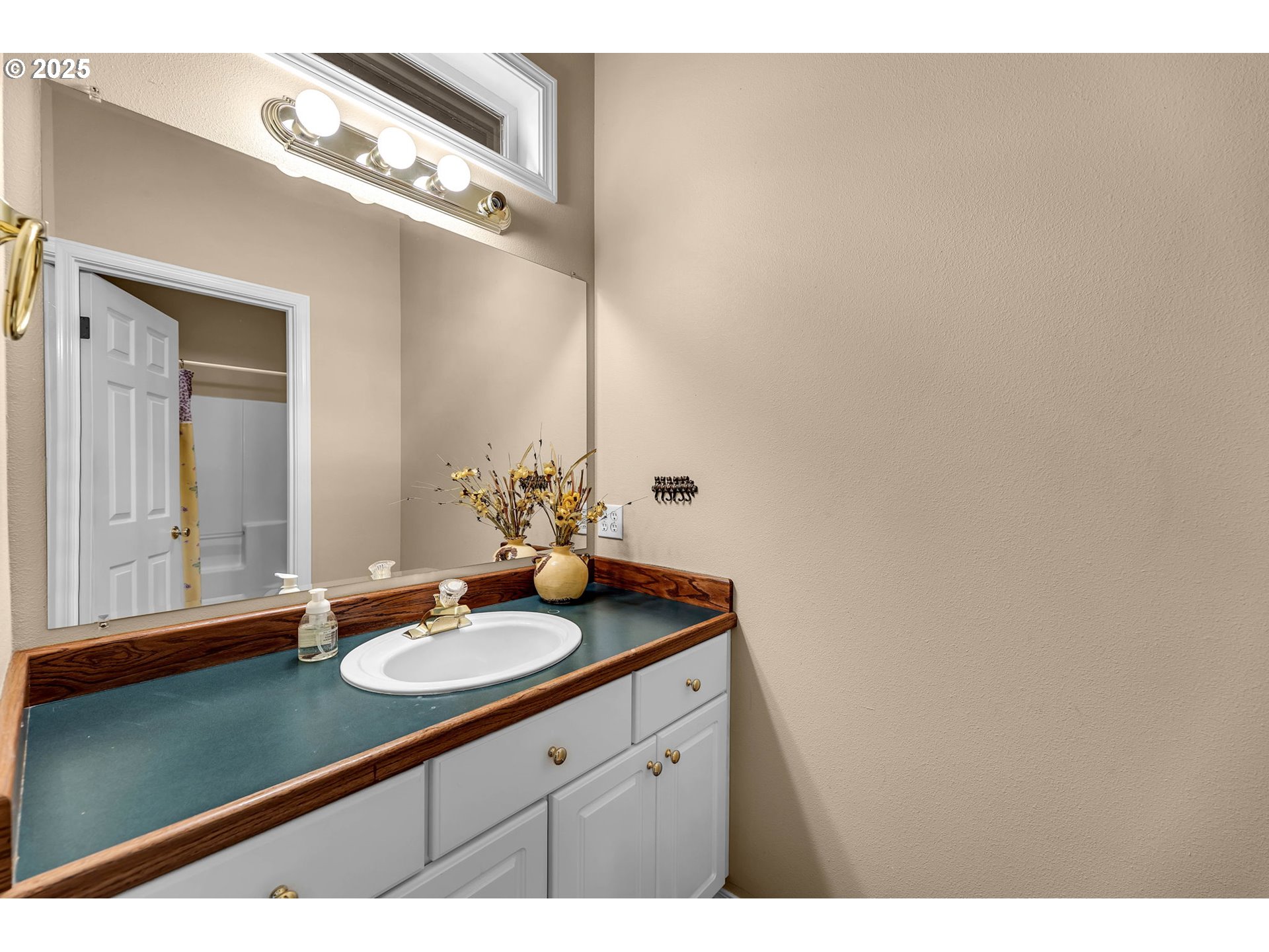 3901 Northwest 150th Circle Vancouver, WA 98685 - Photo 29 of 48 a bathroom with a sink and a mirror