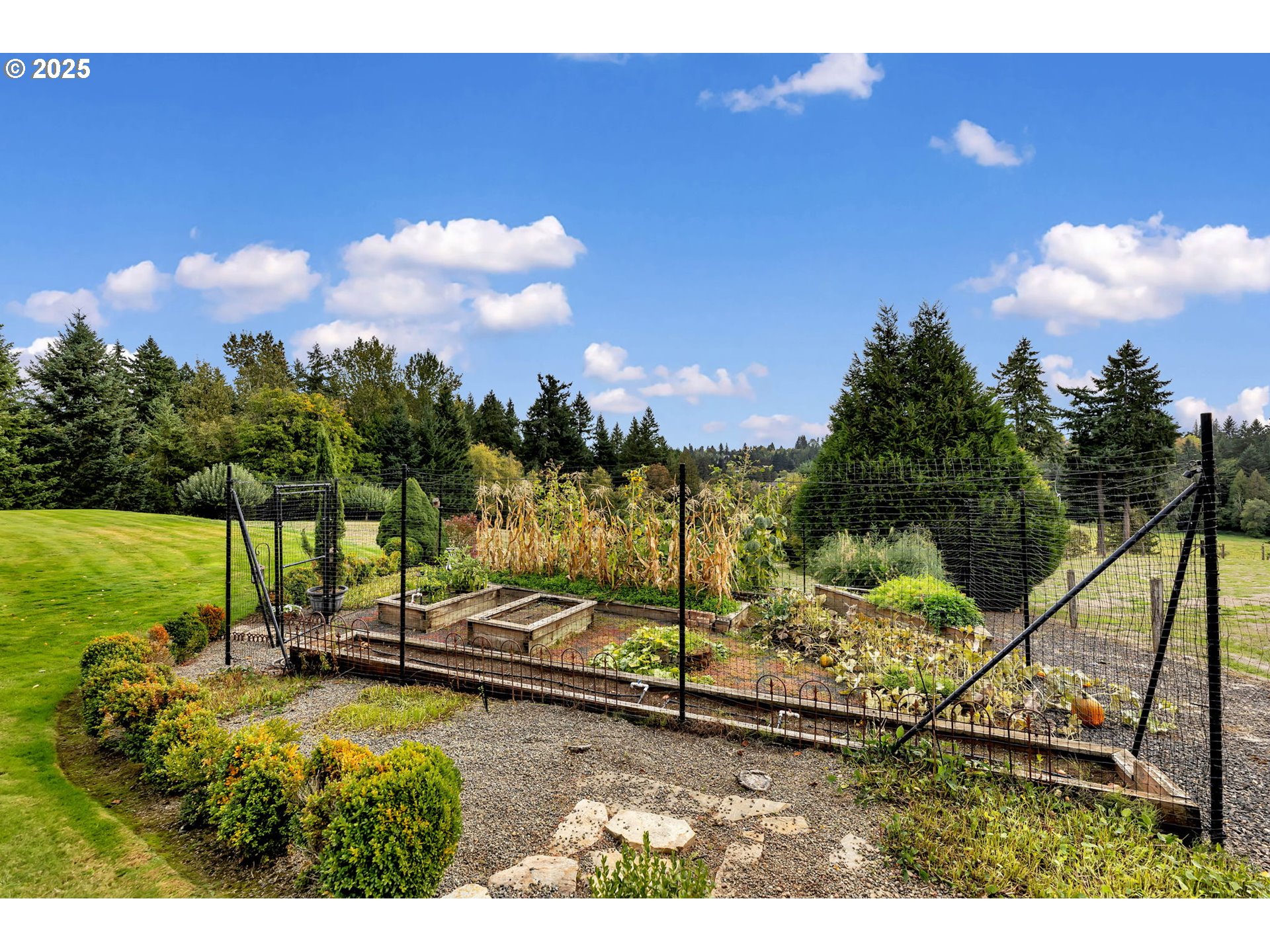 3901 Northwest 150th Circle Vancouver, WA 98685 - Photo 45 of 48 a view of a park with large trees
