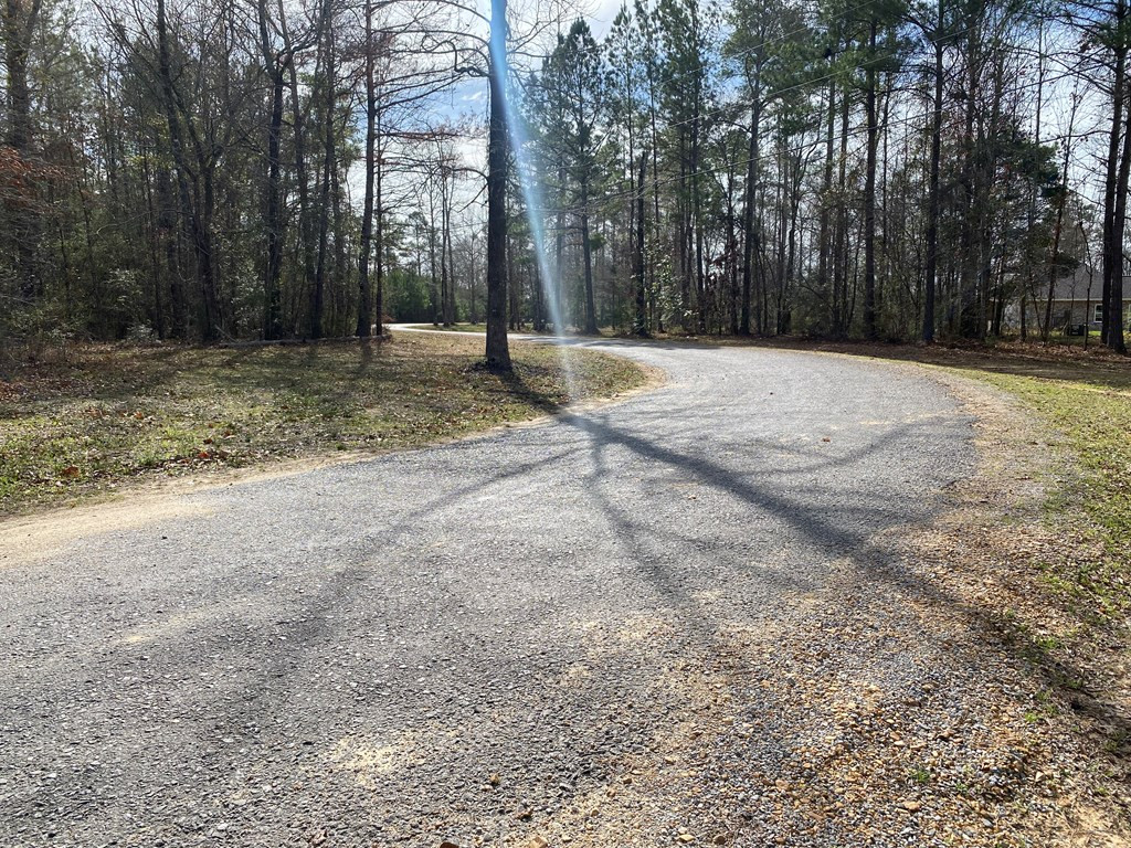 Tbd Poplar Rdg Lane Northwest Brookhaven, MS 39601 - Photo 2 of 7 Photo 2