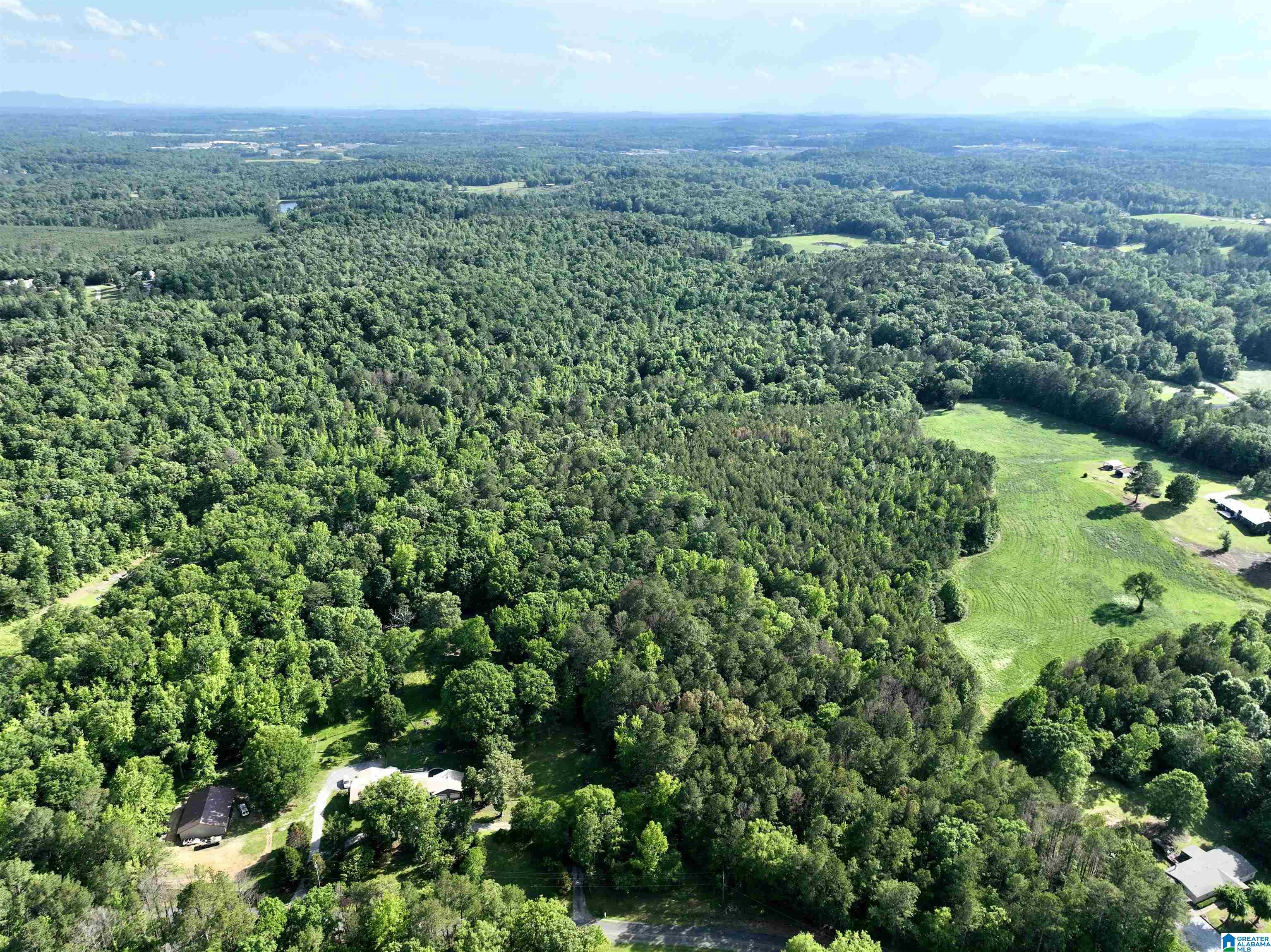 154 Deer Trace Road, Unit X Pell City, AL 35125 - Photo 2 of 6