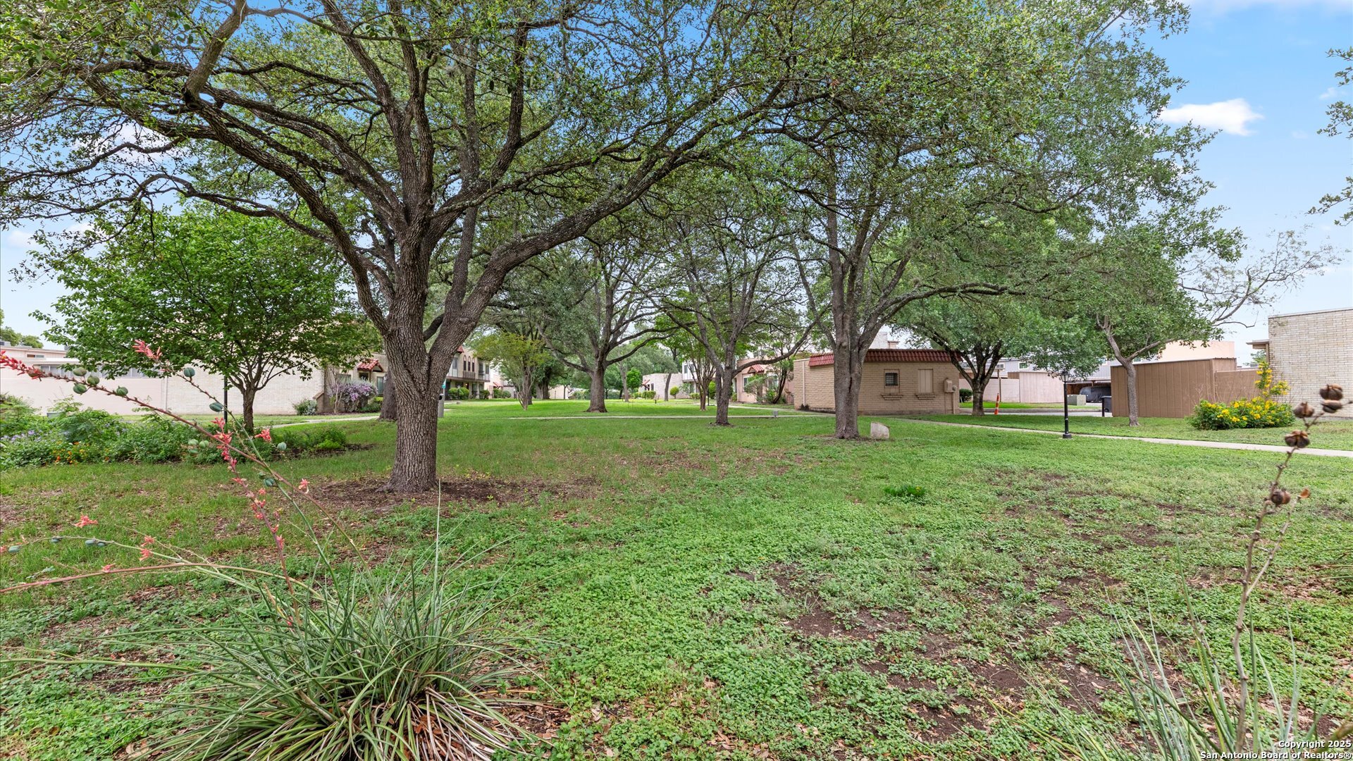 6750 Crown Ridge San Antonio, TX 78239 - Photo 26 of 31 a huge green field with lots of trees