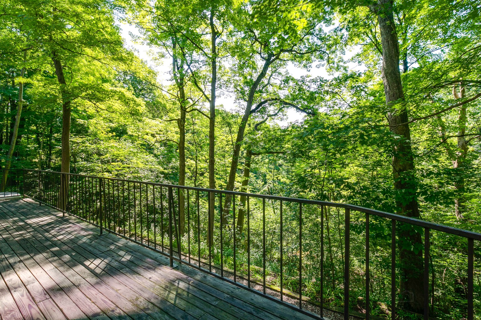 1055 Ringwood Road Lake Forest, IL 60045 - Photo 49 of 59 a view of a balcony with lots of trees