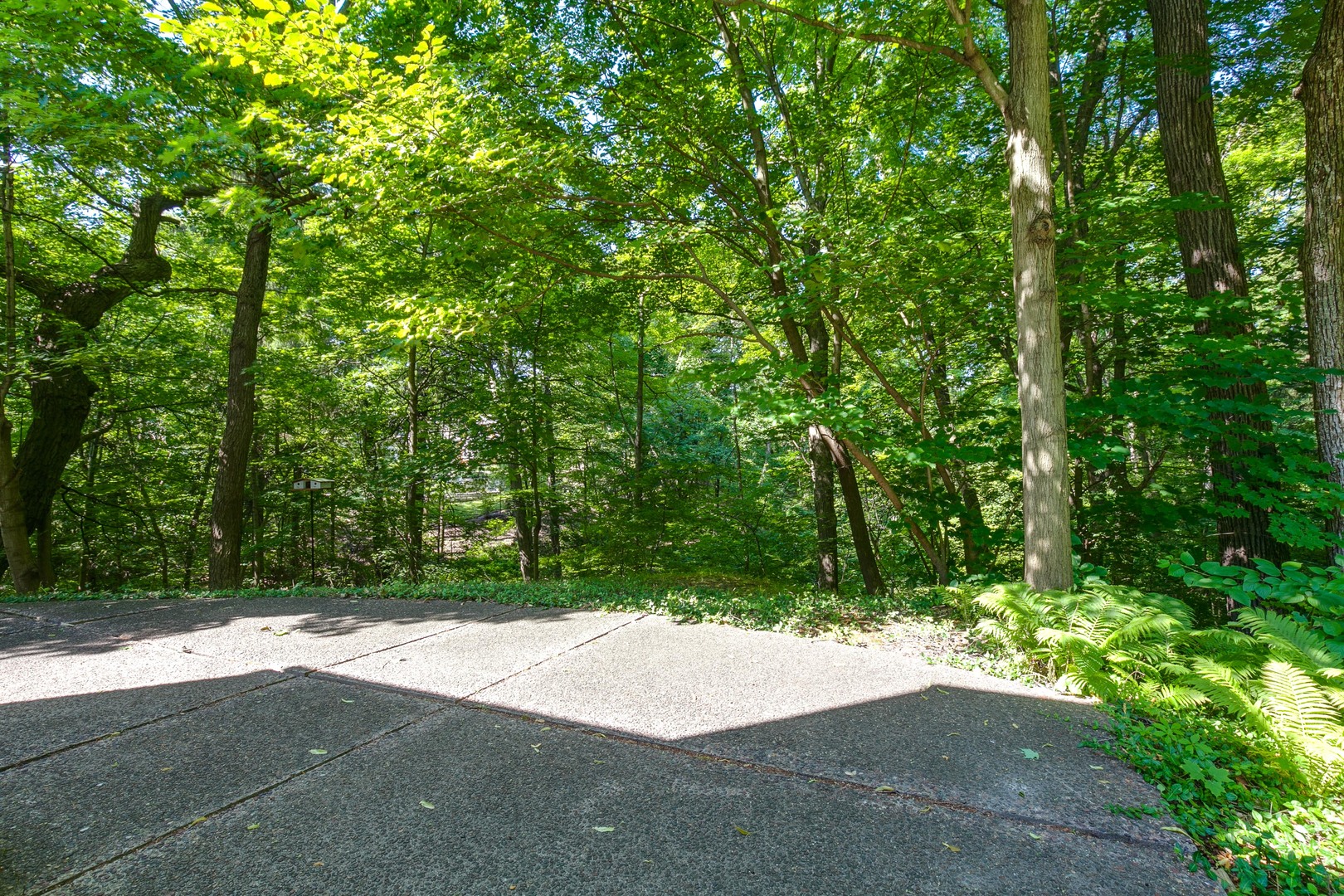 1055 Ringwood Road Lake Forest, IL 60045 - Photo 51 of 59 a wooden bench with trees in the background