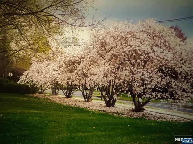 $999,999 | 4 Highfield Court, Wayne, NJ 07470