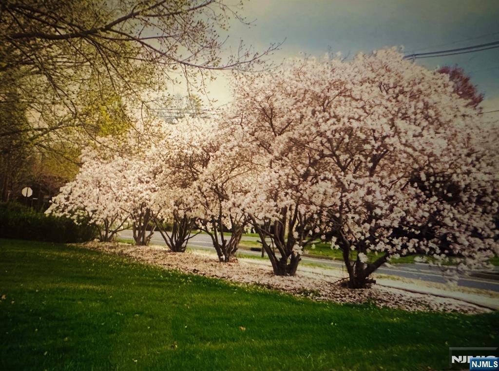 4 Highfield Court Wayne, NJ 07470 - Photo 46 of 49 a view of yard