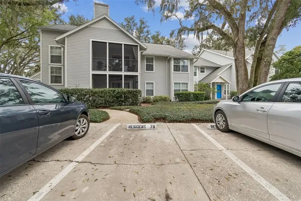 a view of a park with large trees