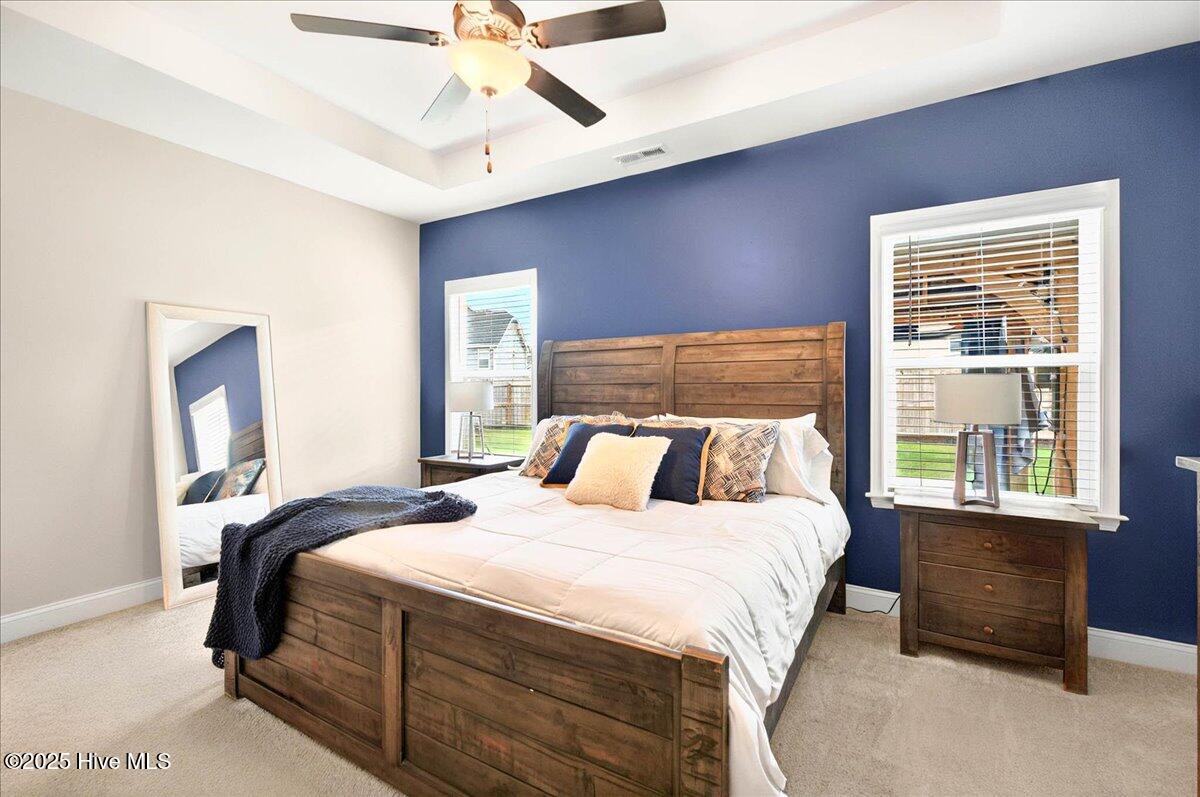 5735 Orchardgrass Road Leland, NC 28451 - Photo 18 of 54 Primary with Accent Wall