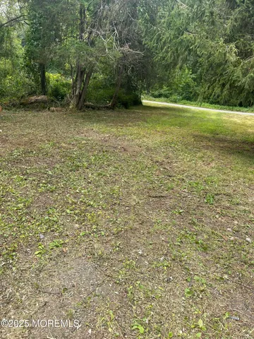 a view of a field with trees