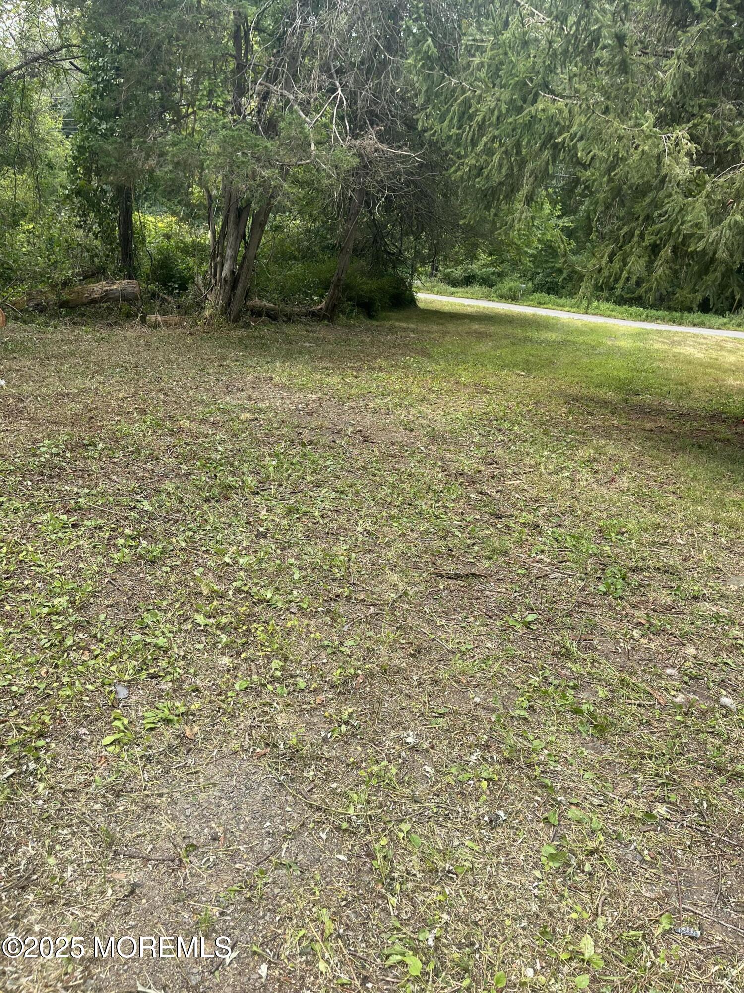 138 Disbrow Hill Road Millstone Township, NJ 08535 - Photo 4 of 41 77611291882__F63A5475-5BFF-4295-8BBF-31D