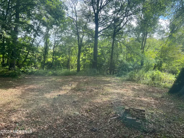 a view of outdoor space with trees