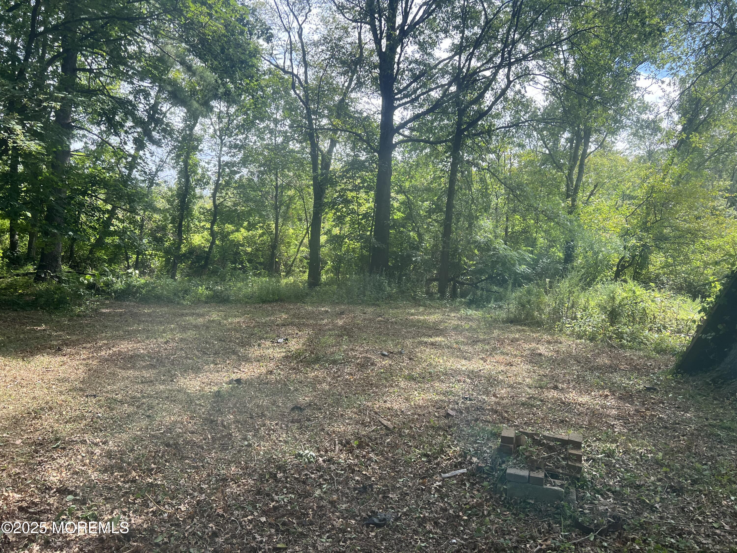 138 Disbrow Hill Road Millstone Township, NJ 08535 - Photo 8 of 33 a view of outdoor space with trees