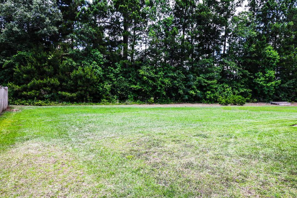 115 Thistle Road Goose Creek, SC 29445 - Photo 19 of 20 Spacious & Private Yard