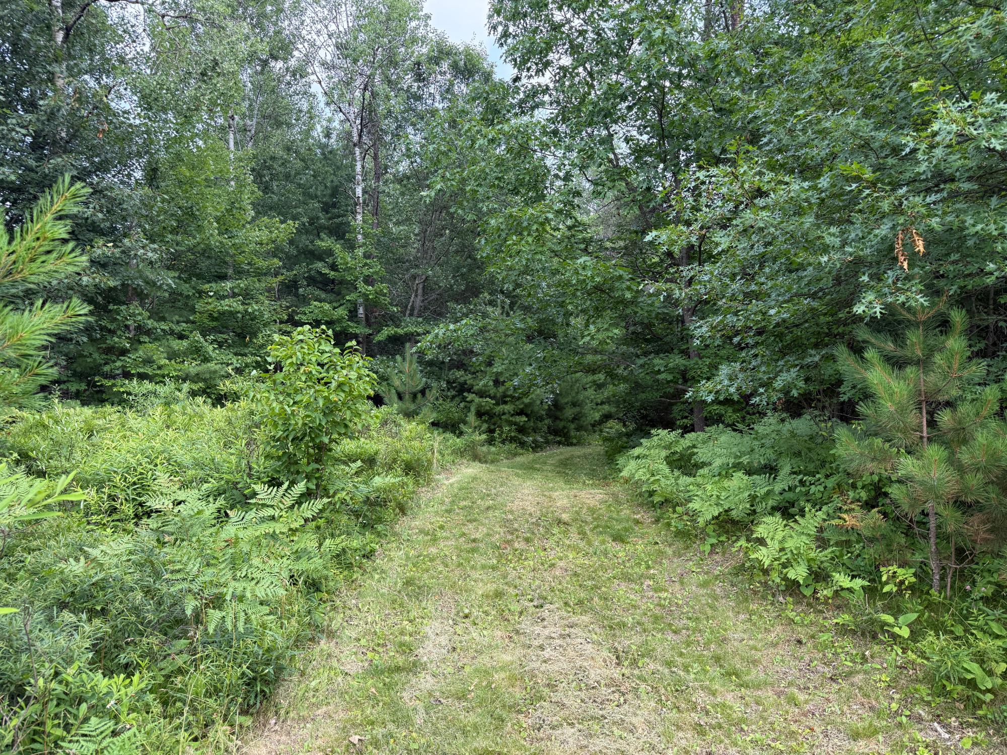 On Malby Lake Road Minocqua, WI 54548 - Photo 2 of 11 Gallery Image 2