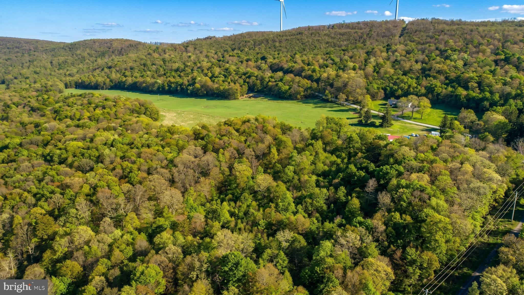 83 Bethlehem Road Oakland, MD 21550 - Photo 40 of 43 a view of a lush green forest with mountains in the background