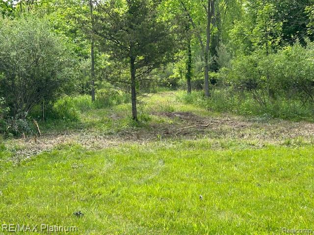 Vl Faussett Road Fenton, MI 48430 - Photo 1 of 16