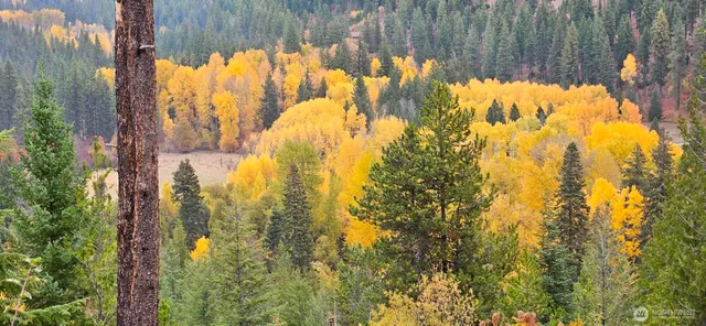 $2,750,000 | 11411 Shugart Flats Road, Leavenworth, WA 98826