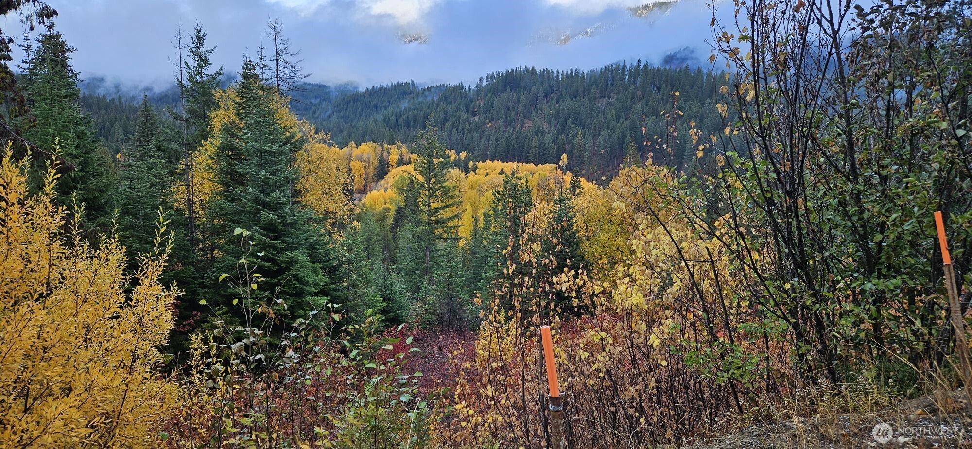 11411 Shugart Flats Road Leavenworth, WA 98826 - Photo 5 of 40 a view of mountain view with lots of trees
