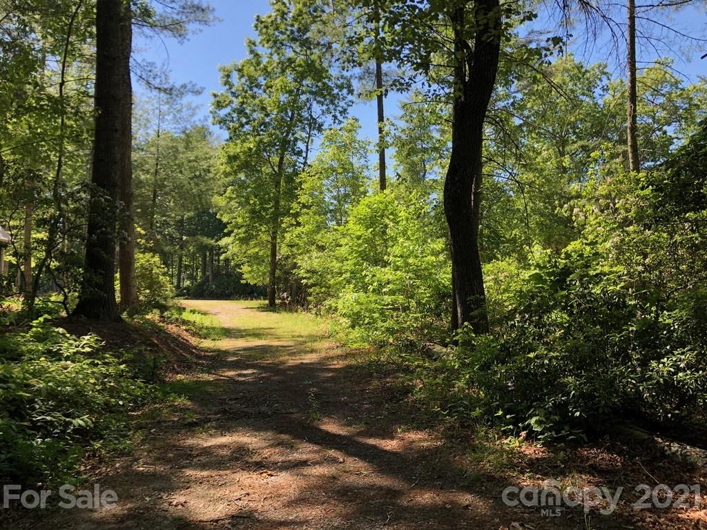 45 Jake Ridge Trail, Unit 30 Fletcher, NC 28732 - Photo 1 of 12 a view of a yard with plants