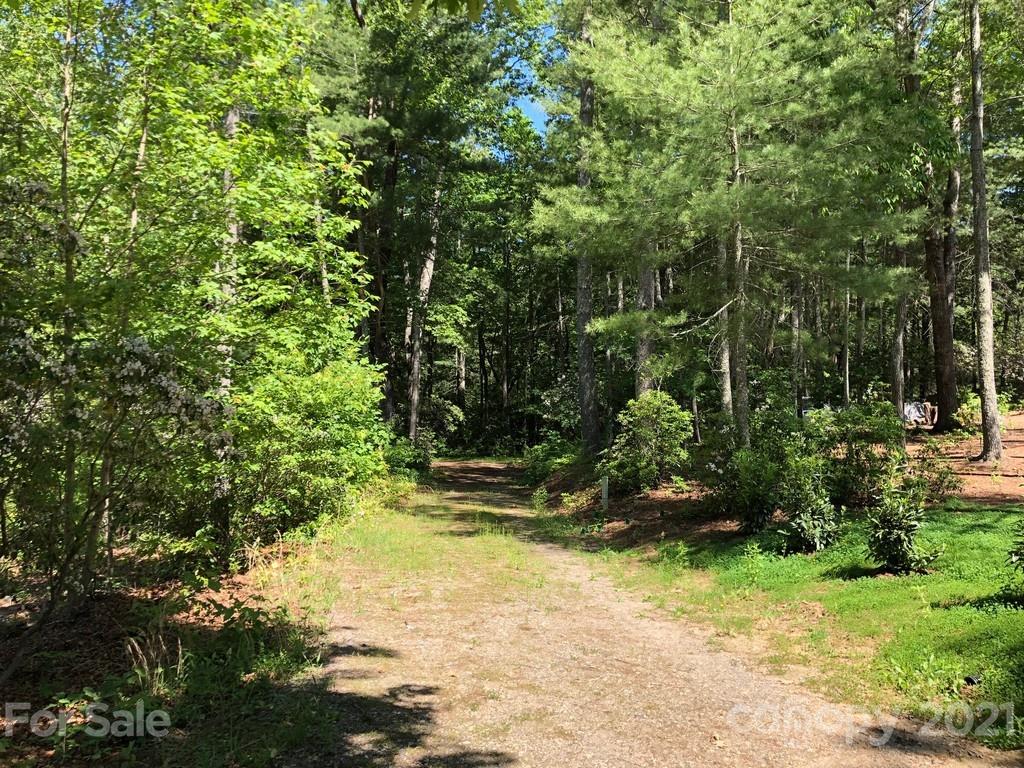 45 Jake Ridge Trail, Unit 30 Fletcher, NC 28732 - Photo 11 of 12 a view of outdoor space and yard