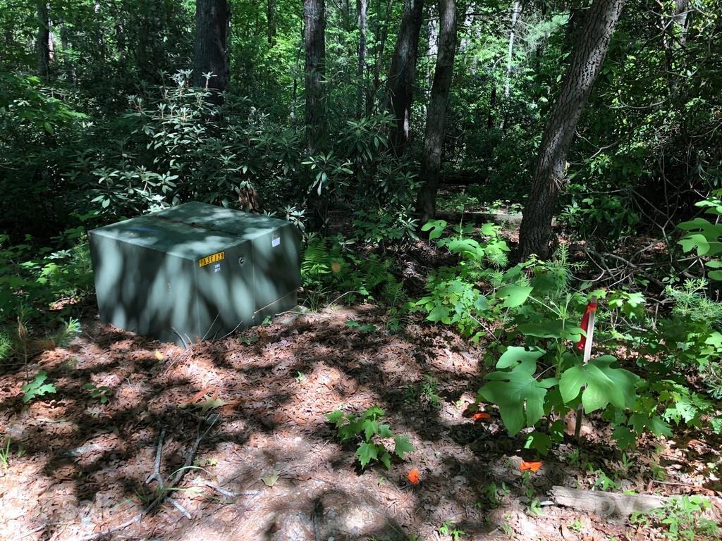 45 Jake Ridge Trail, Unit 30 Fletcher, NC 28732 - Photo 9 of 12 a view of a garden