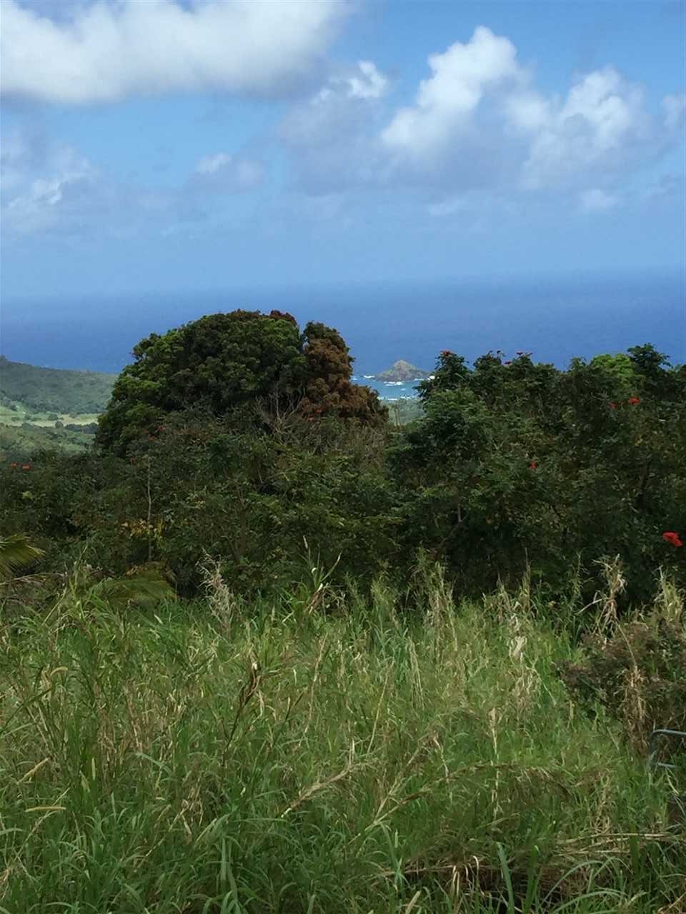 750 Kapia Road, Unit 36 Hana, HI 96713 - Photo 12 of 29 a view of a bunch of trees