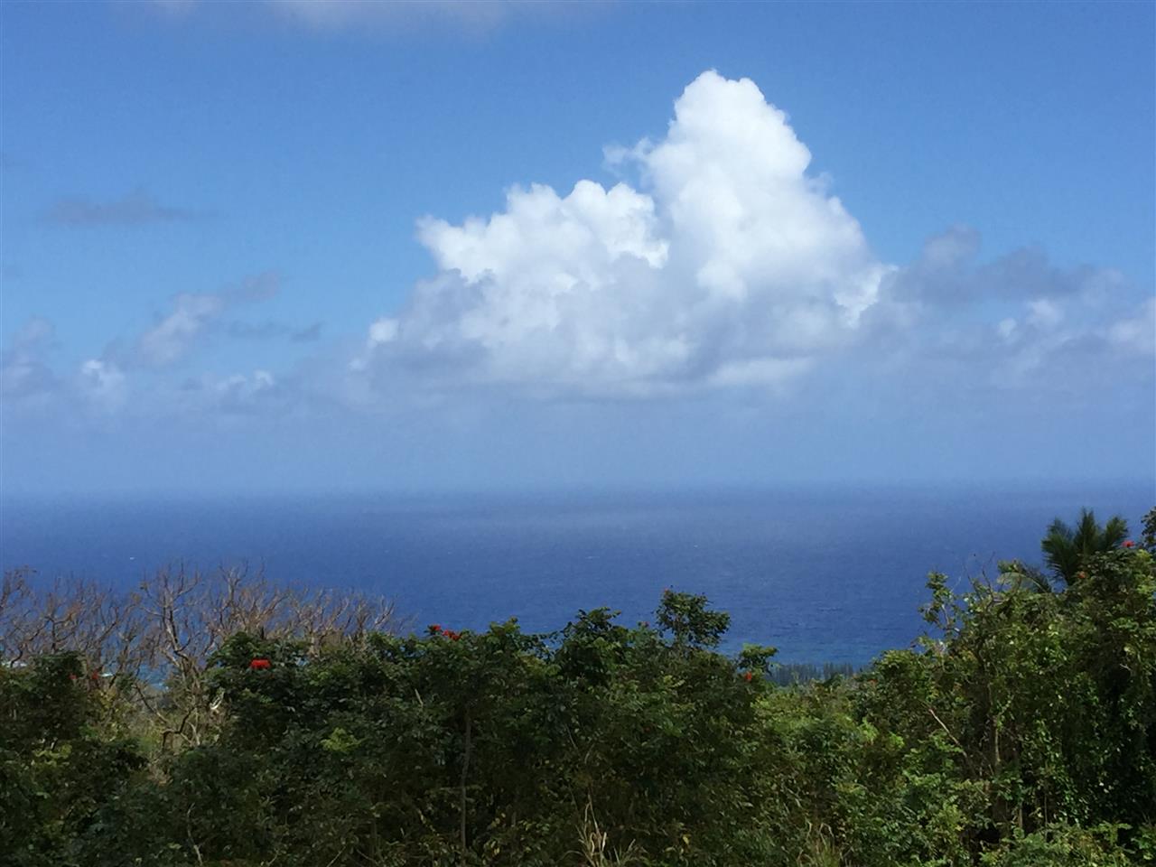 750 Kapia Road, Unit 36 Hana, HI 96713 - Photo 3 of 29