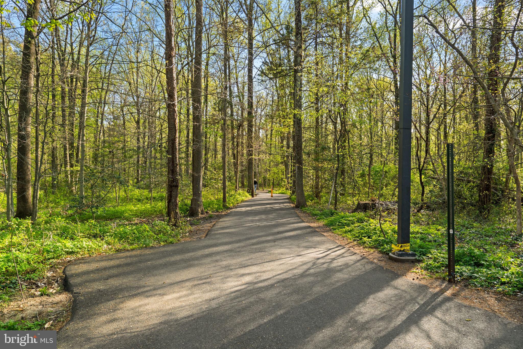 7005 Grove Road Alexandria, VA 22306 - Photo 74 of 81 Get Ready for Summer