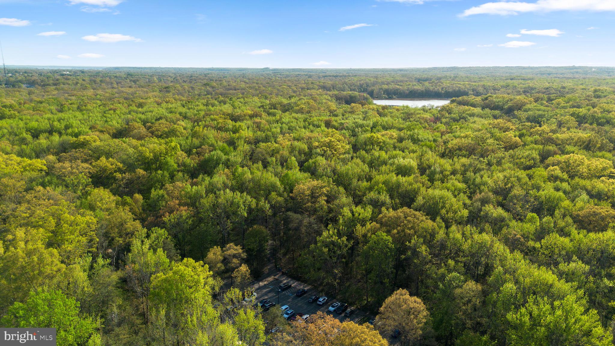 7005 Grove Road Alexandria, VA 22306 - Photo 75 of 81 Get out in Nature!