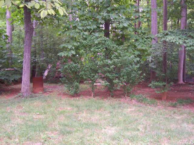 321 Mace Road Mebane, NC 27302 - Photo 7 of 10 Back Yard